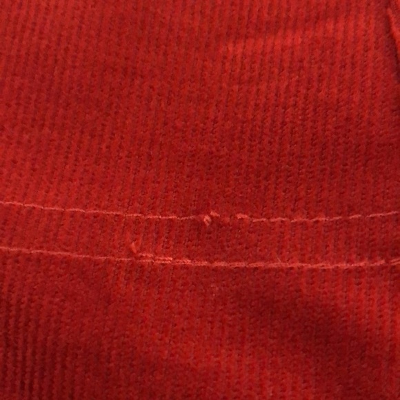 GIANNI Bini corduroy wide leg cropped pants. Rusty orange. Size 4 - Picture 5 of 8